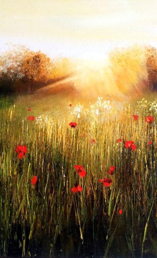 The Radiance by Kimberley  Harris