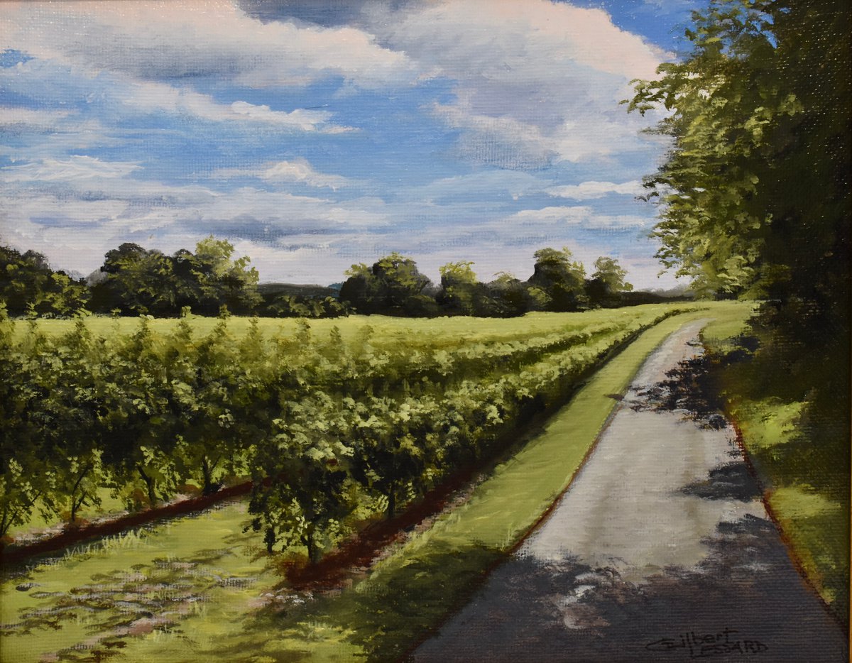 Vignoble a Rougemont by Gilbert Lessard