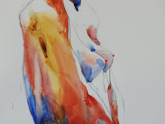 Sunset Nude