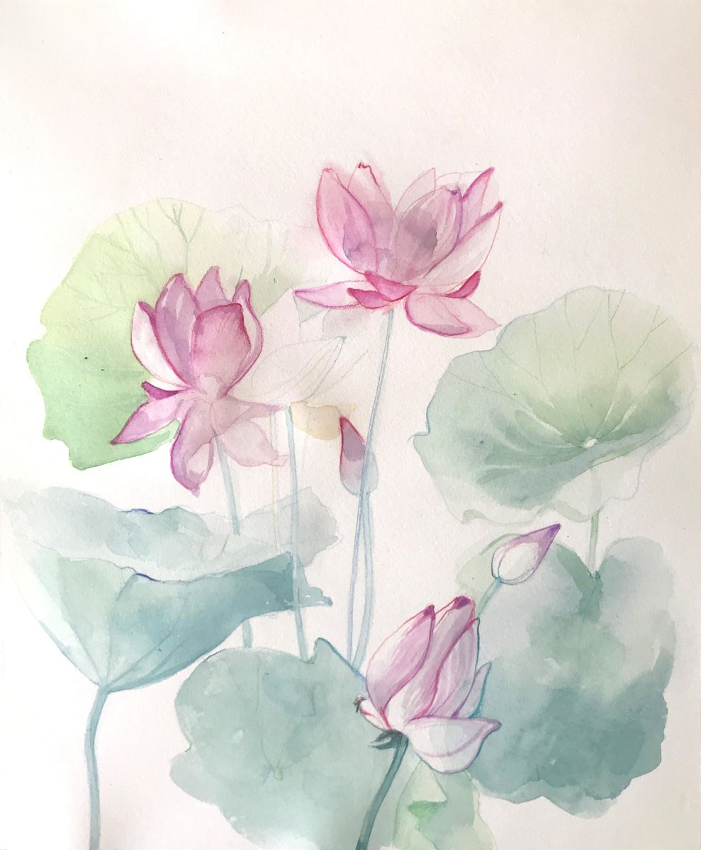 Water lilies#2 by Inna Katsev