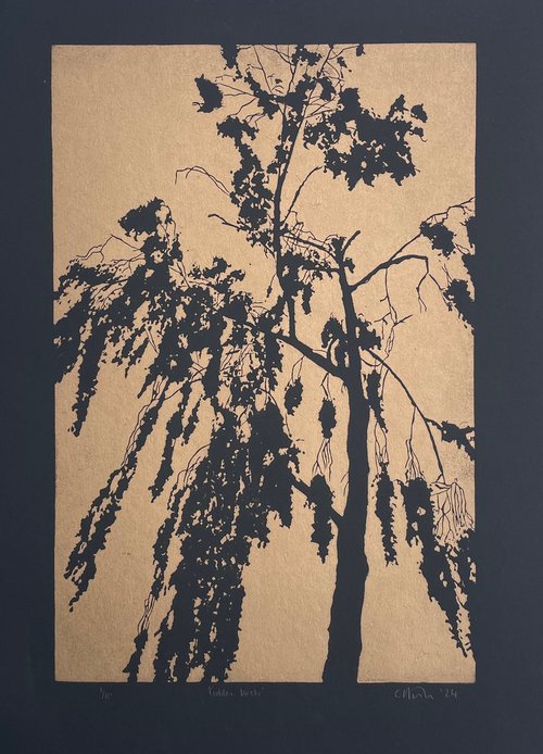 Golden Birch - Birch tree Linocut Print by C Staunton