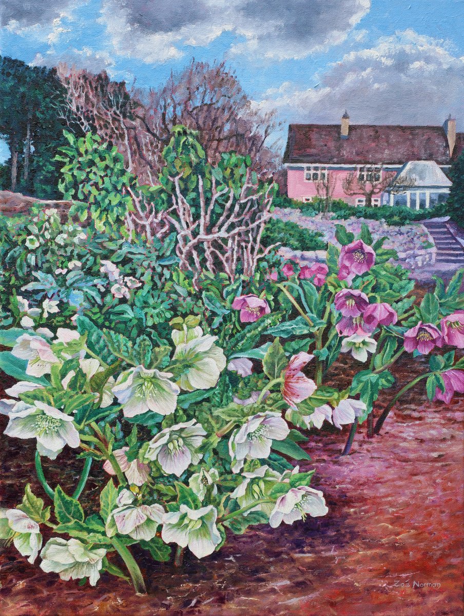 Impressionistic Botanical Oil Painting By Zoe Elizabeth Norman, 18 X 24", Fullers Mill Garden - Hellebores, Original Artwork