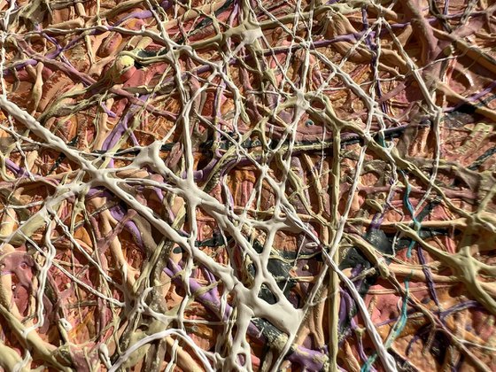 Waves of Tender Light