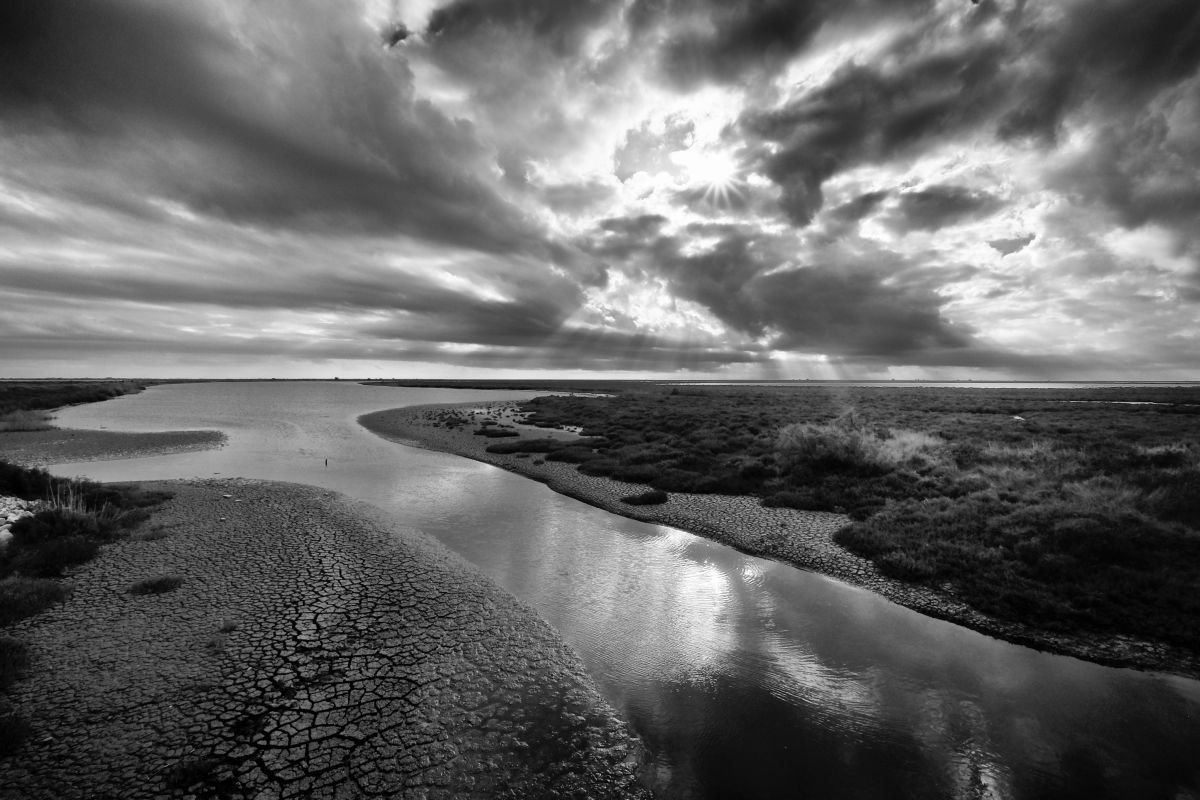 Photorealistic Landscape Photograph By Christian Schwarz, 24 X 17, The Magic Of The Camargue, Original Artwork