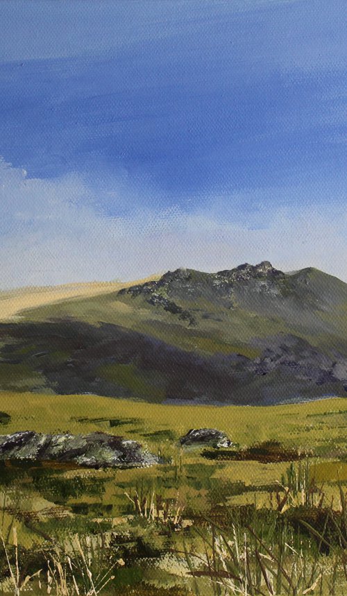 Black Tor, Dartmoor by Valerie Jobes