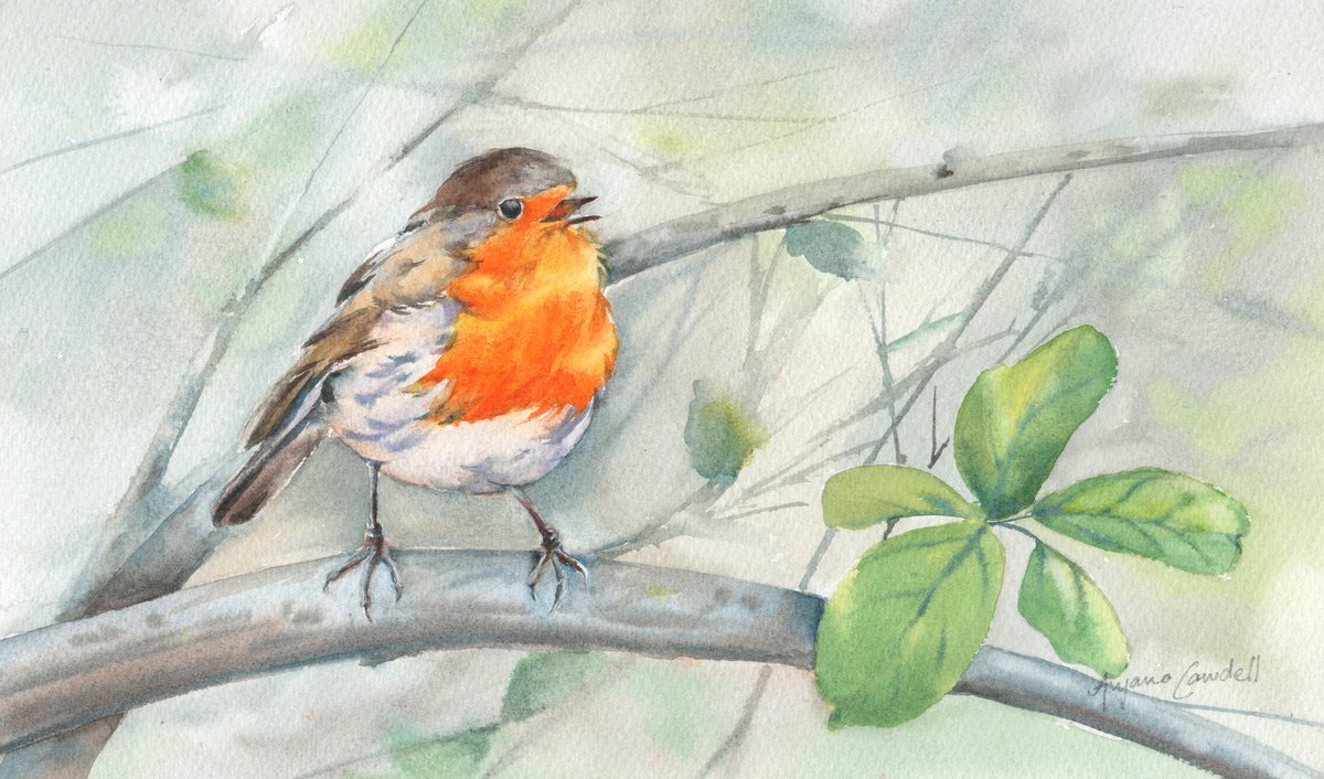 Impressionistic Watercolour , Singing Robin By Anjana Cawdell, 11 X 6, Artwork For Sale On Artfinder