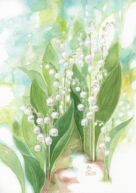 Spring is coming - Lilies of the valley