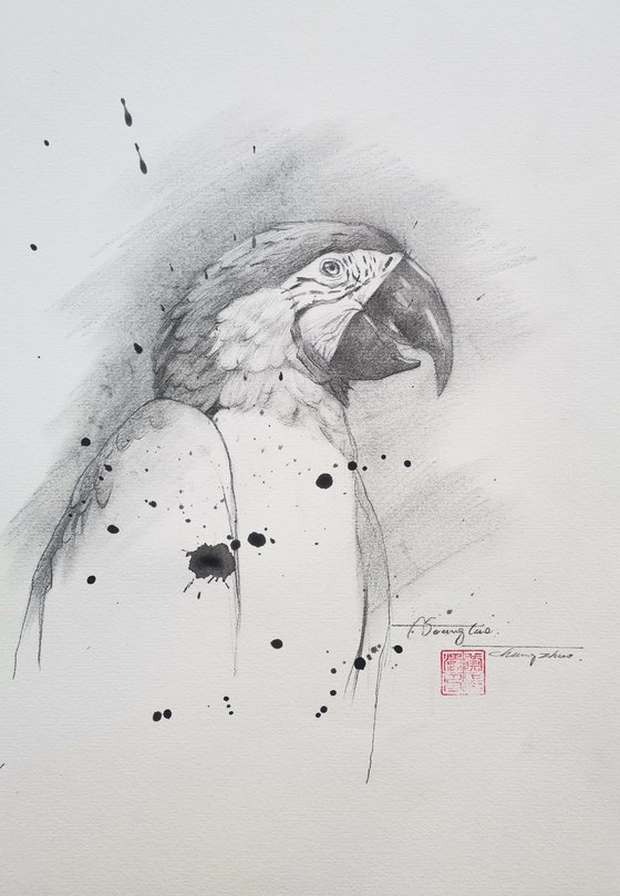 Drawing- Parrot #20106