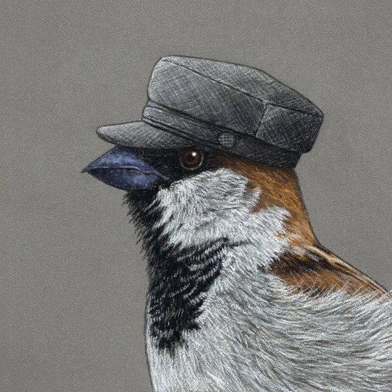 Original pastel drawing bird "House sparrow"