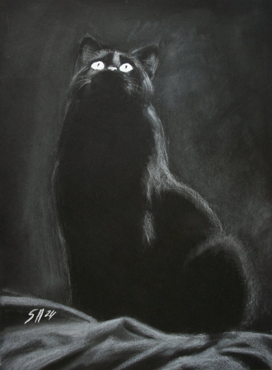 Black cat by Salana Art