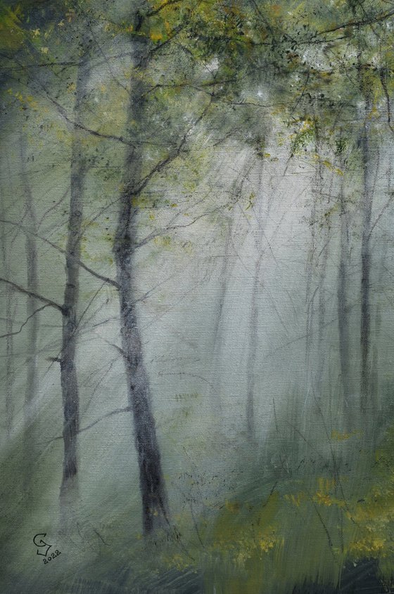 " Sun beams in the foggy  forest "