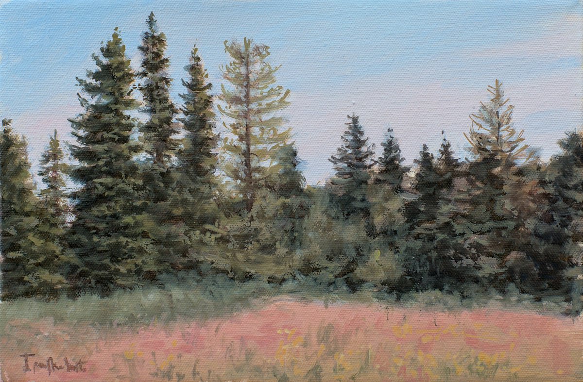 Impressionistic Landscape Oil Painting By Dejan Trajkovic, 12 X 8, The Trees, Original Artwork