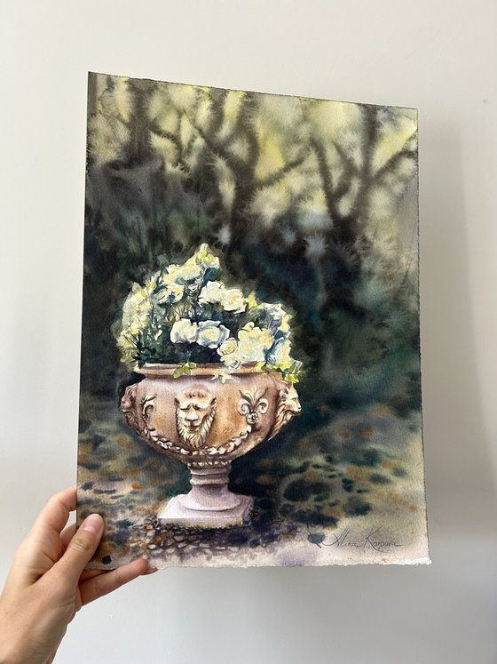 Roses in the shade