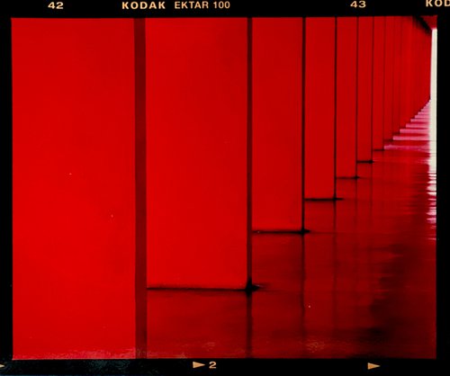 Red Dinosaur, Milan, 2020 by Richard Heeps