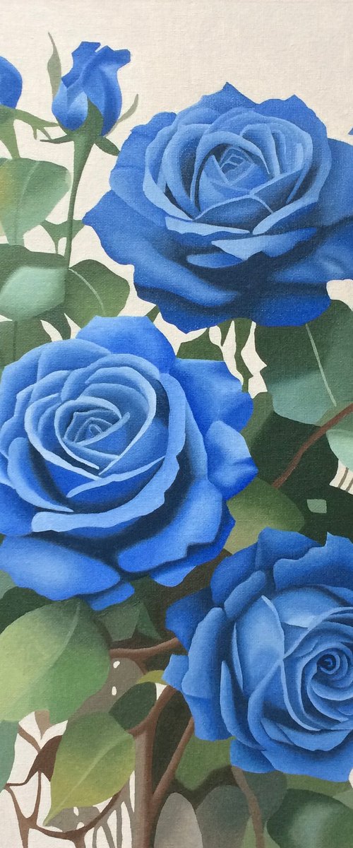 Blue Roses by Jill Ann Harper