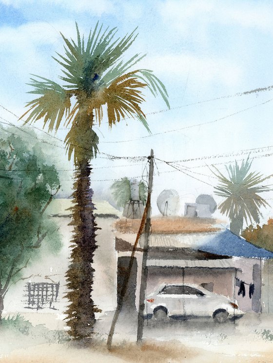 Palm and Shadows