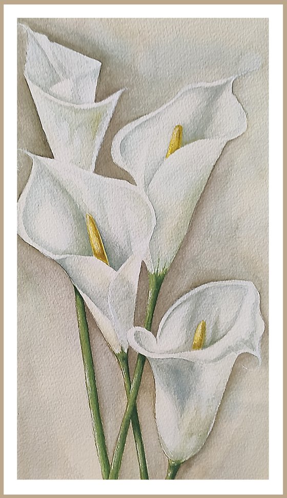 Calla. Watercolor painting by Svetlana Vorobyeva