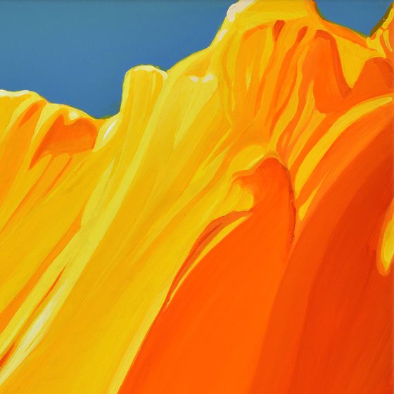 Californian Poppy and Wind #6