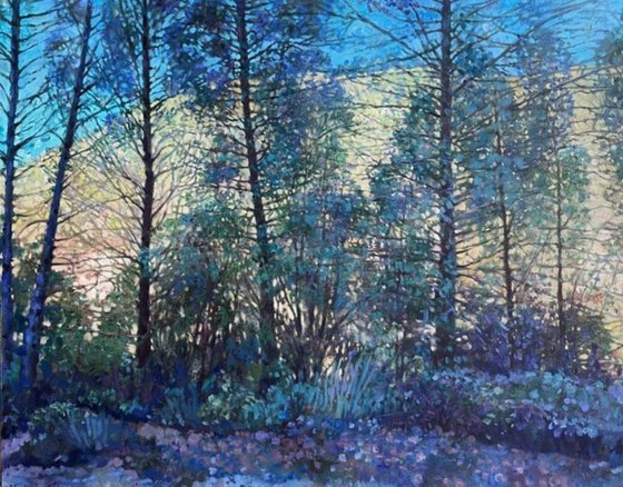 Lace of the French Alps