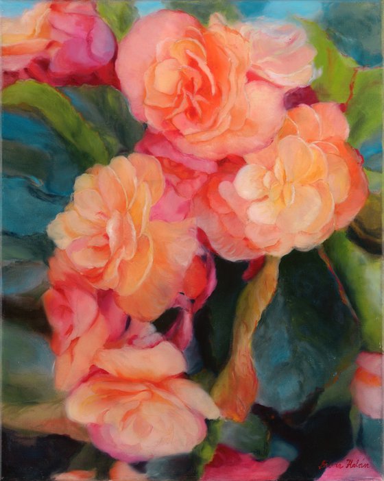Begonias