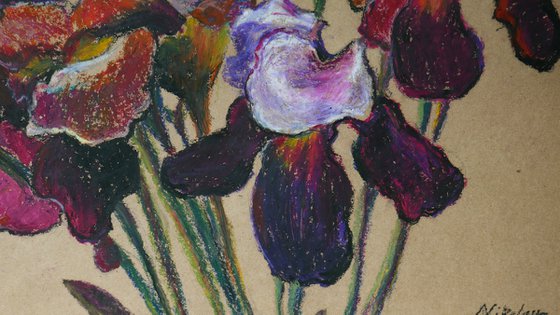 Iris Flowers 1