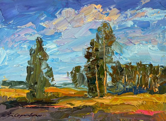 A Day Filled with Sunshine