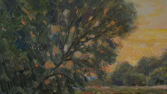 Sunset - summer landscape painting