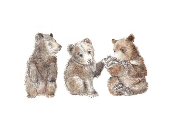 Three Bears Original Watercolor