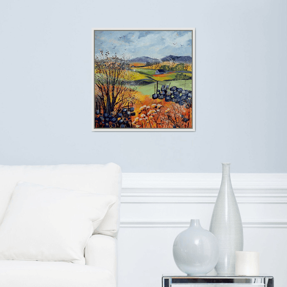 Blackthorn Blossom (Yorkshire Dales)