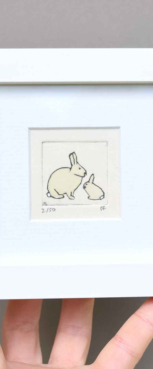Mini framed wild rabbit with young by Sally Fisher