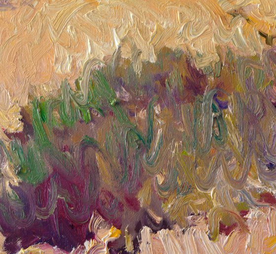 Desert. Midday
