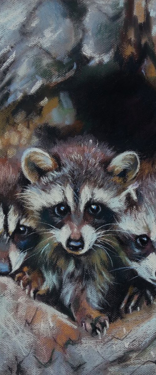 Family of raccoons by Magdalena Palega