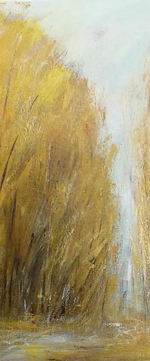 Autumn, Richmond Park by Jan Rippingham