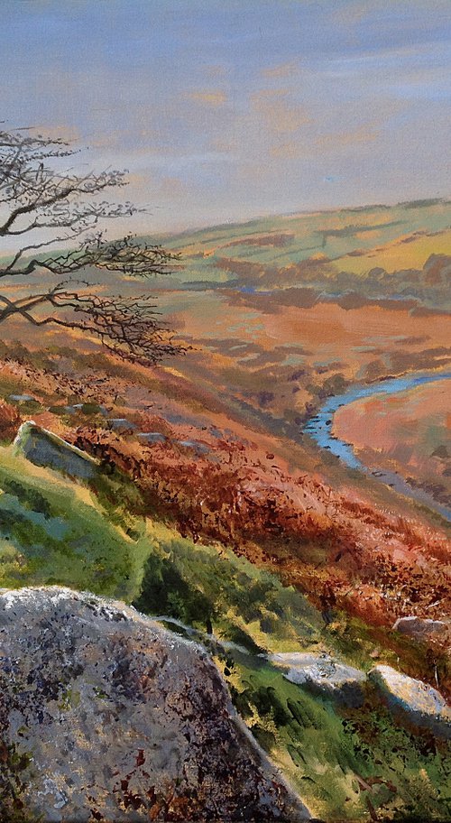 Hawthorn on the Tavy River by Daniel Loveday