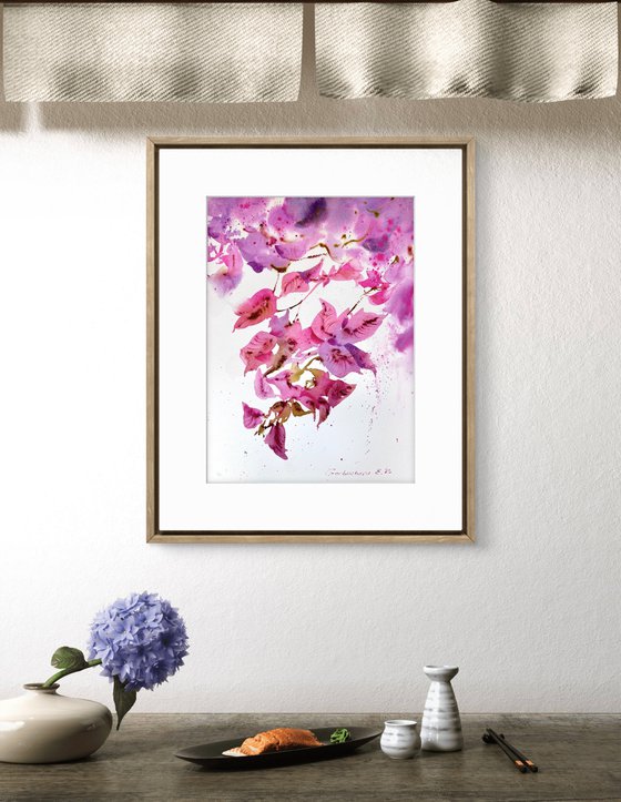Bougainvillea Dream