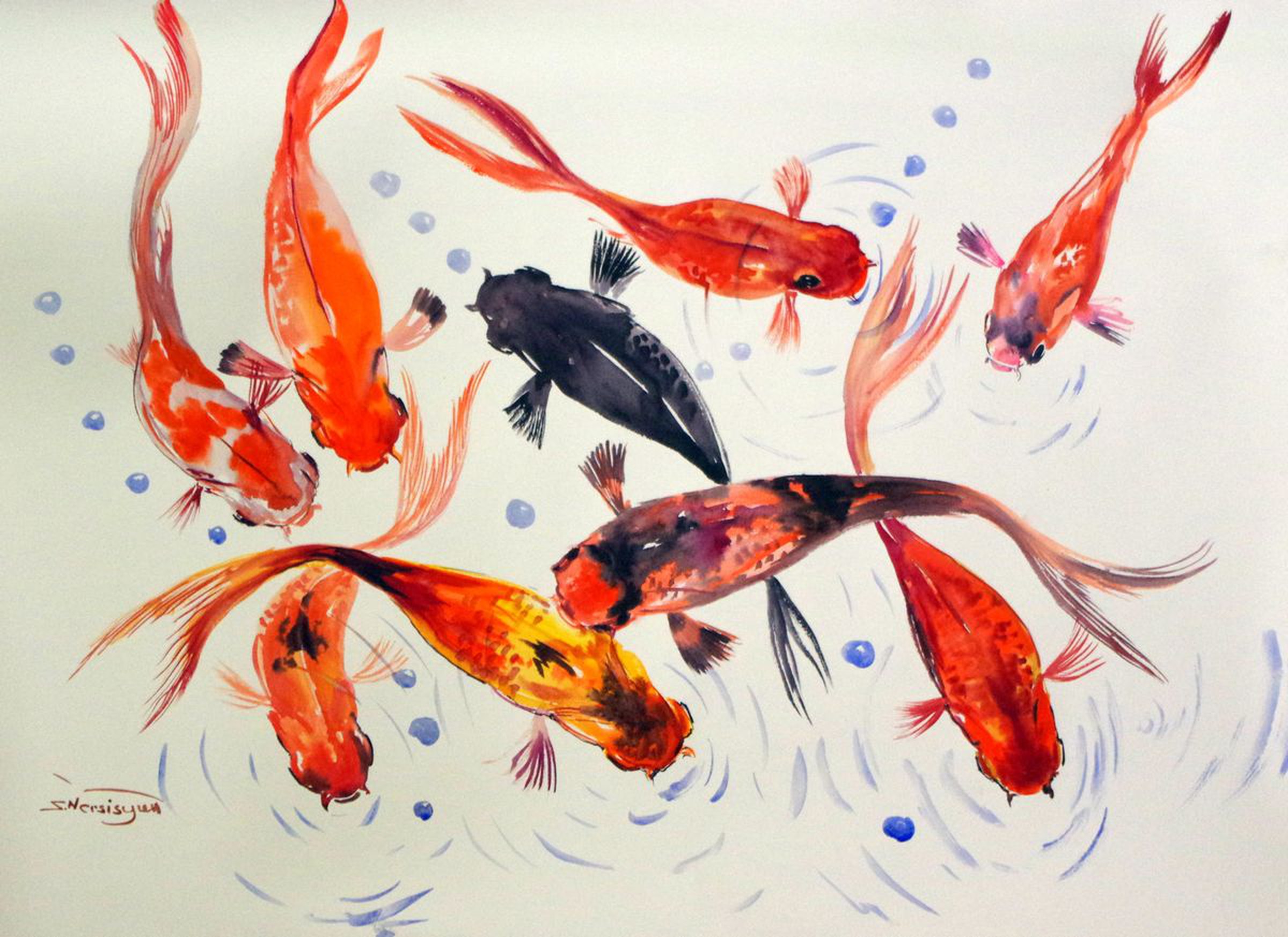 9 Koi Fish Pond Asian Style Watercolor Art Koi Artfinder