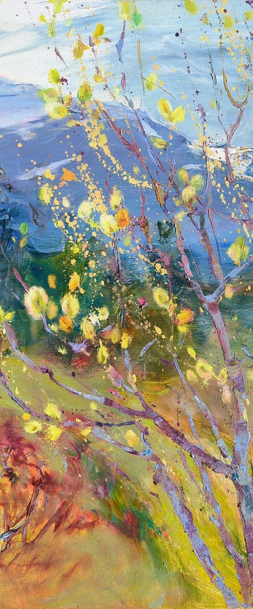 Moments of spring . Willow blossoms in the mountains . Original oil painting by Helen Shukina