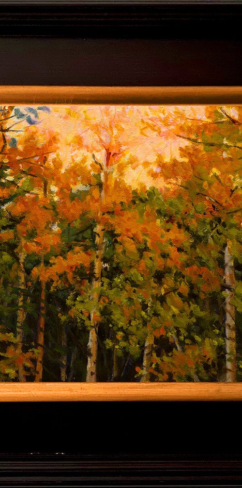 Autumn Aspens by Daniel Fishback