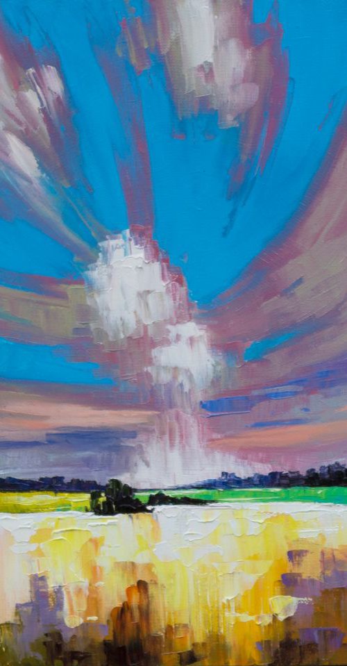 SKY AND FIELD by Oleksii Vylusk