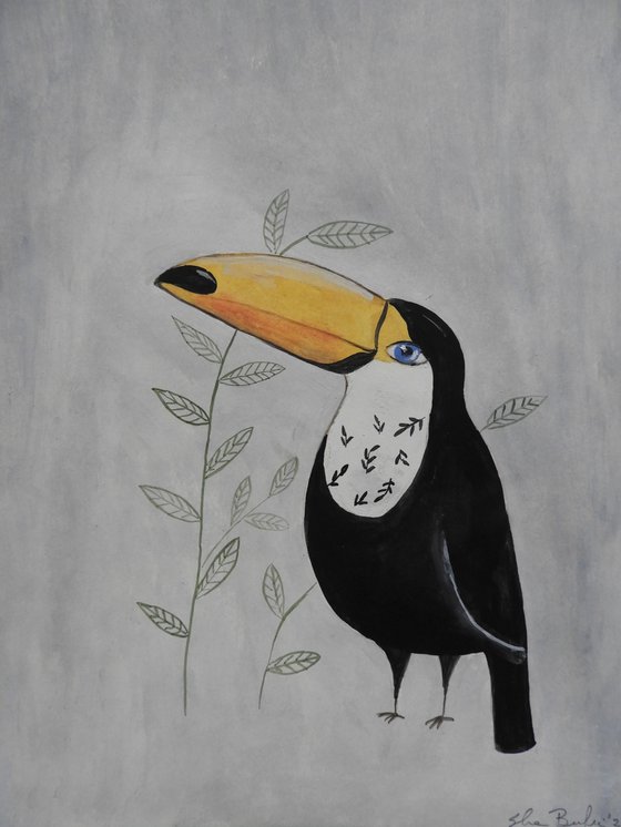 The toucan