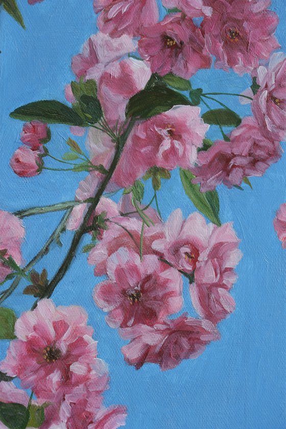 photorealism - cherry blossoms