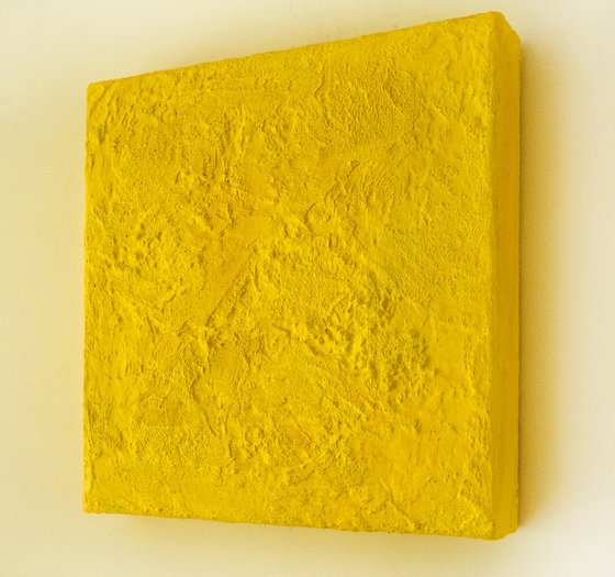 Textured Yellow Primrose