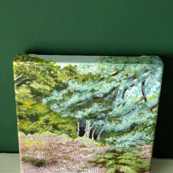 Bolderwood, New Forest
