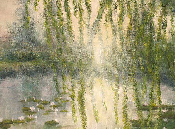 Lily pond