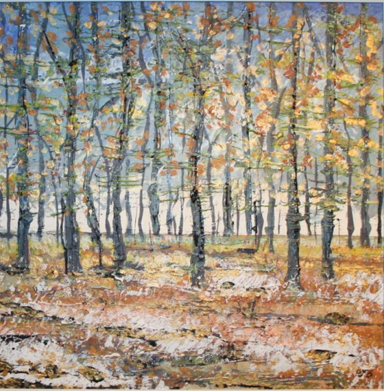 Micheldever Woods in Winter I