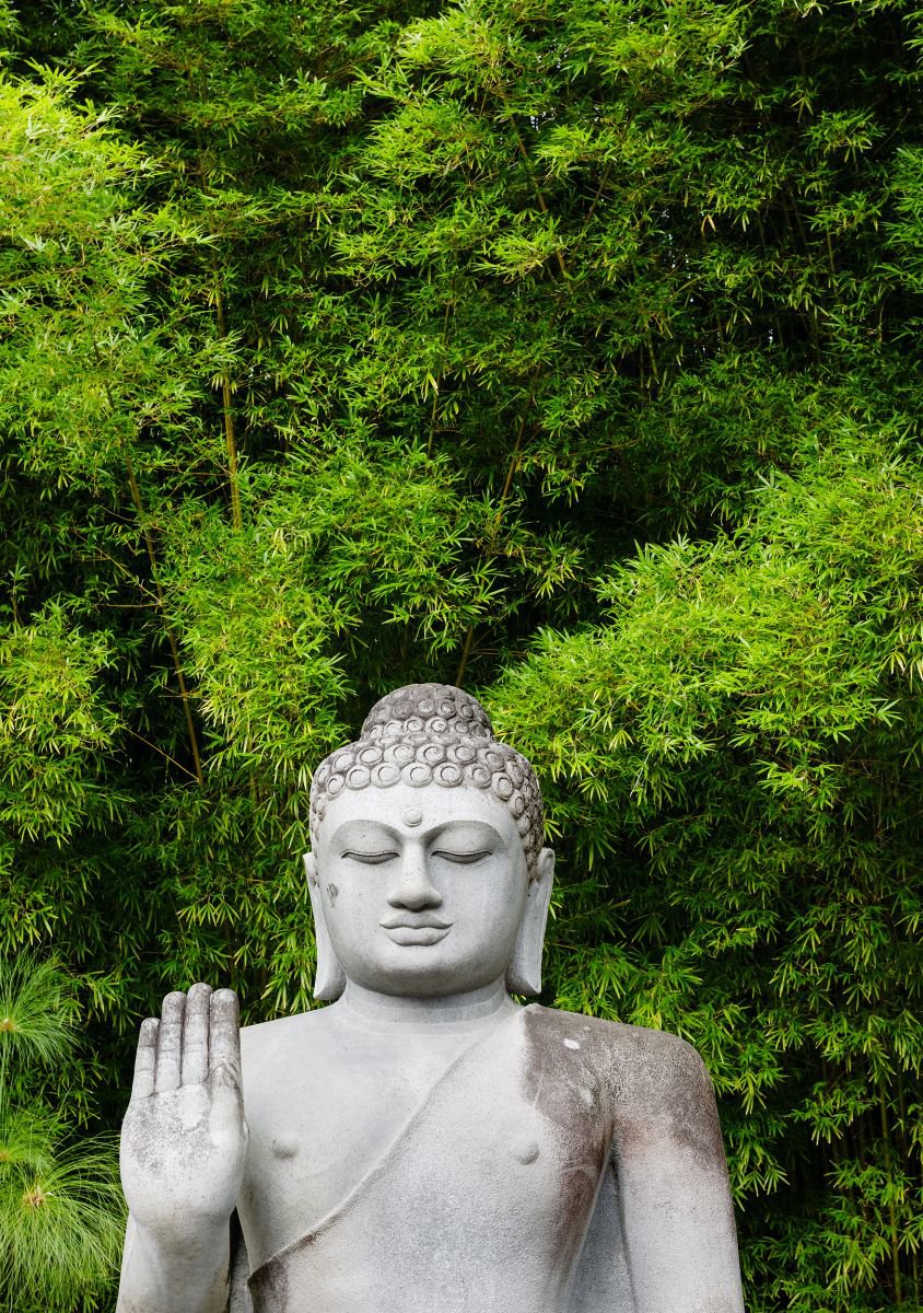 Photorealistic Photograph , Buddha And Bamboo By Tom Hanslien, 33 X 47, Artwork For Sale On Artfinder