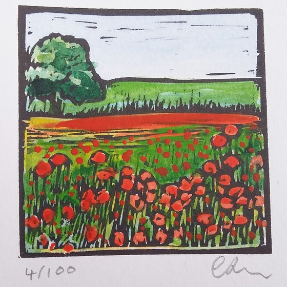 Poppies