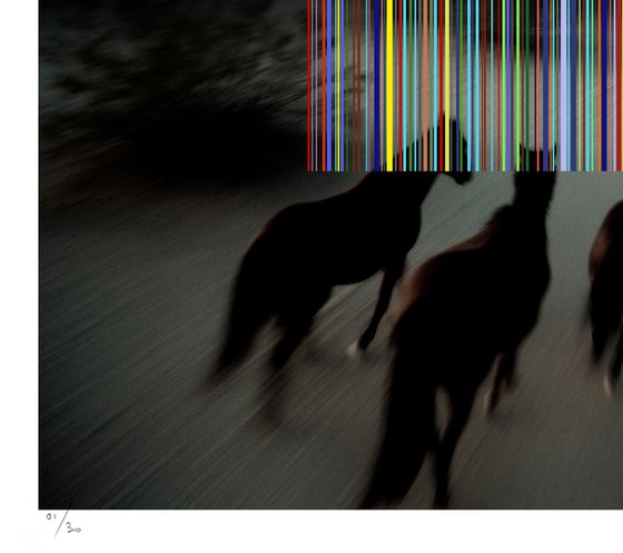 Tehos - Wild horses -2026