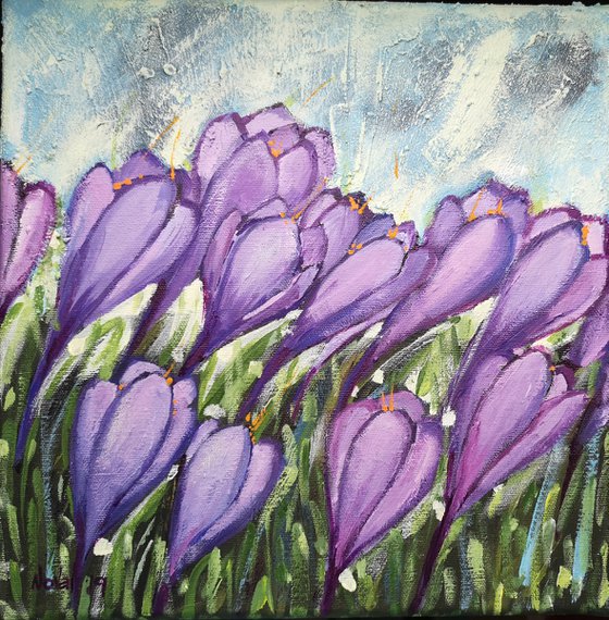 Crocuses