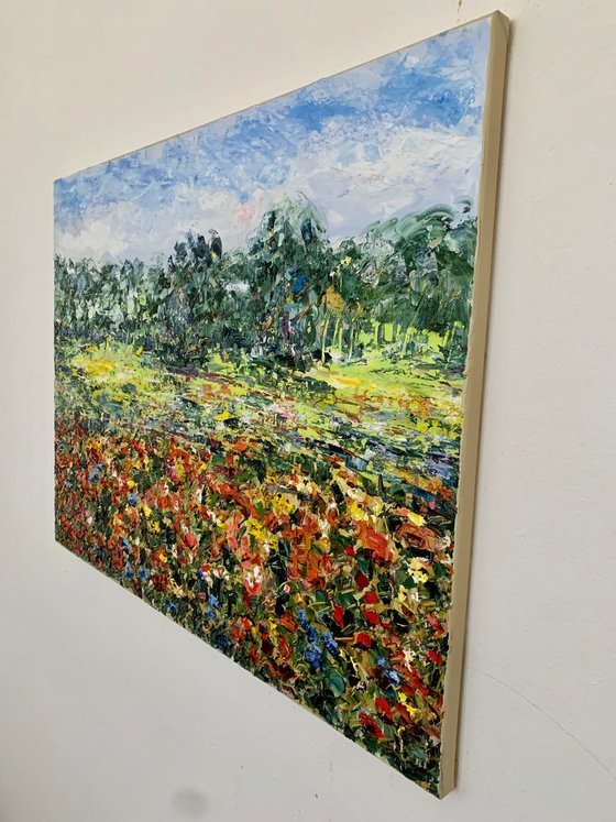 Poppy field